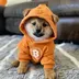 BITCOIN•IS•TOP•DOG logo