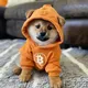 BITCOIN•IS•TOP•DOG logo