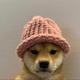 RUNE•DOG•WIF•HAT logo