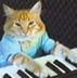 KEYBOARDCAT•BTC logo