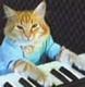 KEYBOARDCAT•BTC logo