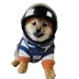 DOG•IS•ASTRONAUT logo