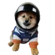 DOG•IS•ASTRONAUT logo