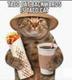 TACOCAT•TACOCAT logo