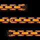 BITCOIN•THE•GOLD•CHAIN logo
