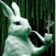 RABBIT•WIF•PIPE logo