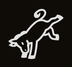 A•A•A•A•A•A•A•A•A•A•A•A•ASS logo