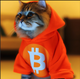 PUSSY•GO•TO•THE•MOON logo