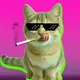 WHO•ATE•ALL•THE•PUSSY logo