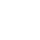 RUNES•PUNKS•ID•V logo