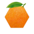 TANG•GANG•HOA•BTC logo