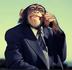 MONKEYS•MONEY•PRESIDENT logo