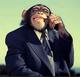 MONKEYS•MONEY•PRESIDENT logo