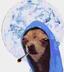 SNOOP•TO•THE•MOON logo