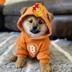 DOG•GO•TO•THE•MOONY logo