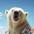 ZAK•BEAR•HAPPINESS•PROVIDER logo