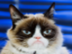 GRUMPY•CAT•RUNES logo