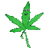 MR•WEED•THE•GREEN•BUSINESSMAN logo
