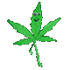 MR•WEED•THE•GREEN•BUSINESSMAN logo