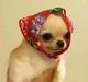 POOCH•PASHMINA logo
