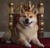 DOG•GO•TO•THE•THRONE logo