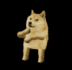 DOGECOIN•TO•ONE•DOLLAR logo
