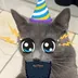MEOWGIC•INTERNET•MONEY logo