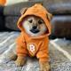 BITCOIN•DOG•WIF•HOODIE logo
