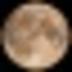 WALKING•ON•THE•MOON logo