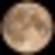 WALKING•ON•THE•MOON logo