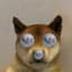 DOGWIFTHEMOON logo