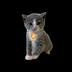 KITTEN•GO•TO•THE•MOON logo