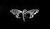 CICADA•THREE•THREE•ZERO•ONE logo
