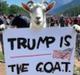 TRUMP•IS•THE•G•O•A•T logo
