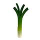 BITCOIN•CHIVES logo