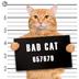 THE•SIX•STINKY•CATS•GANG logo