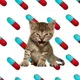 METHAMPHETA•MEME logo