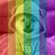 LGBTC•PEACE•RUNES logo