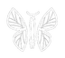 BEAUTY•IN•THE•BACKYARD logo