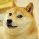 RIP•KABOSU•DOGE logo