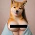 DOGE•WIF•TITTIES logo
