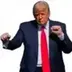 THE•DONALD•TRUMP•DANCE logo