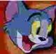 TOM•CAT•IN•SATS logo
