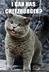 I•CAN•HAS•CHEEZBURGER•CATS•RUNE logo