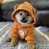 GOD•DOG•GO•TO•THE•MOON logo