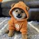 GOD•DOG•GO•TO•THE•MOON logo