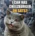 CHEEZBURGER•ON•SATS•HAPPY•CAT logo