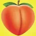 BUTTS•IN•THE•SATS logo