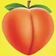 BUTTS•IN•THE•SATS logo