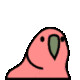BITCOIN•BUDGIE logo